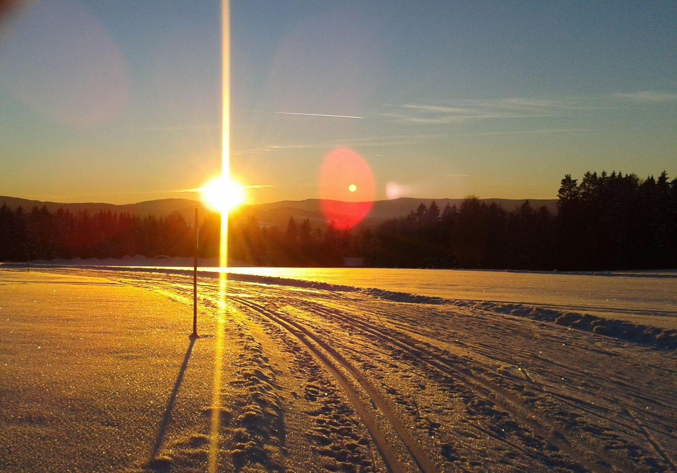 Ferienhof Kagerbauer in Langdorf