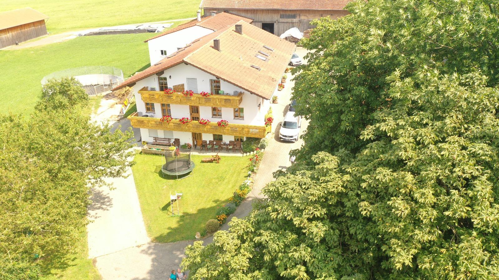 Simeth Regina in Neukirchen beim Heiligen Blut