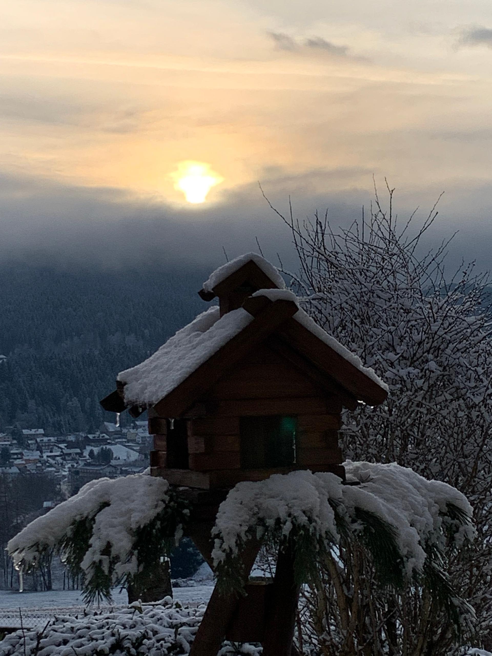 Ferienwohnungen-Riedl in Lam
