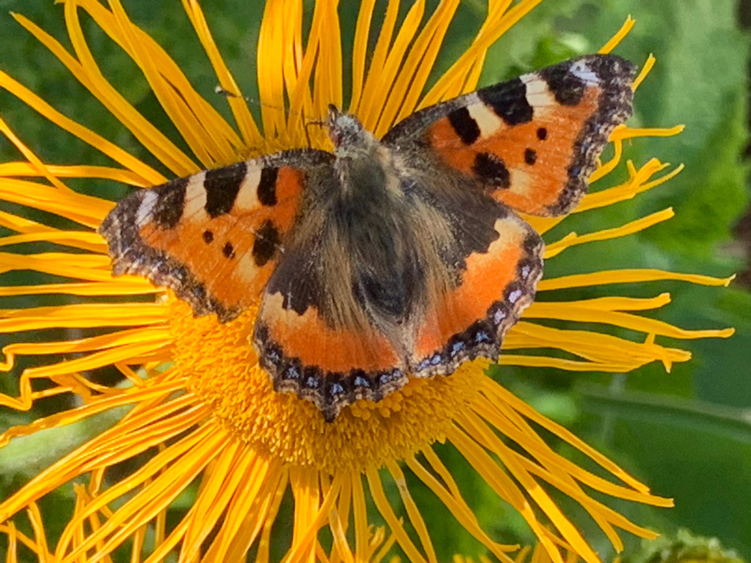 Ferienwohnungen-Riedl in Lam
