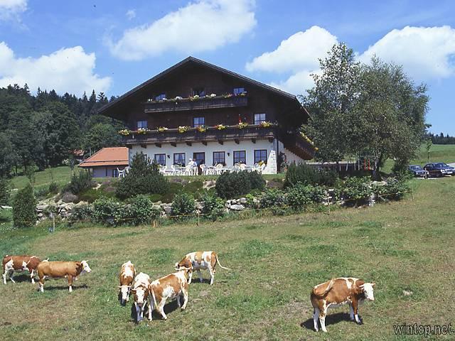 Berggasthof Sonnenalm G * * * in Hauzenberg