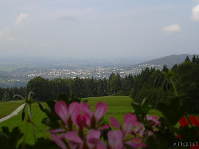 Berggasthof Sonnenalm G * * * in Hauzenberg