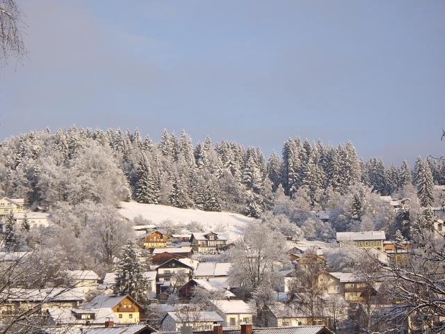 Ferienwohnung Dorfblick (Herzog) in Lindberg