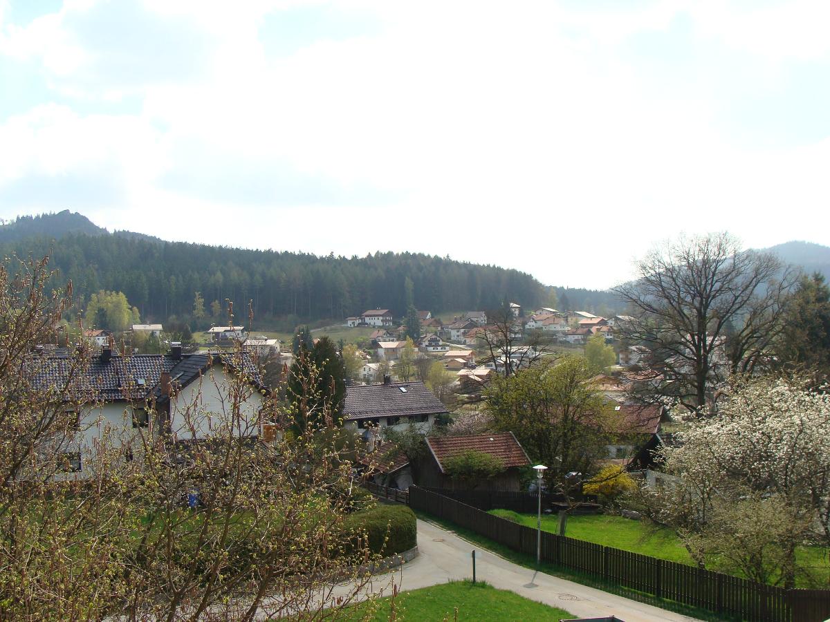Drei Tannen in Bodenmais