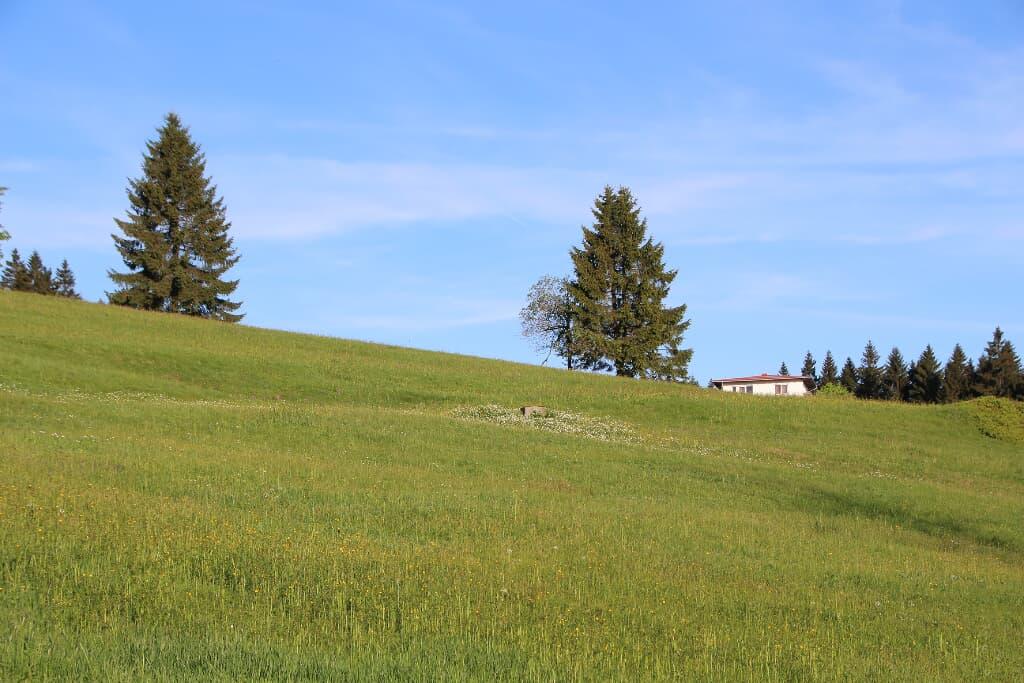 270 Hotel Mitterdorf in Philippsreut