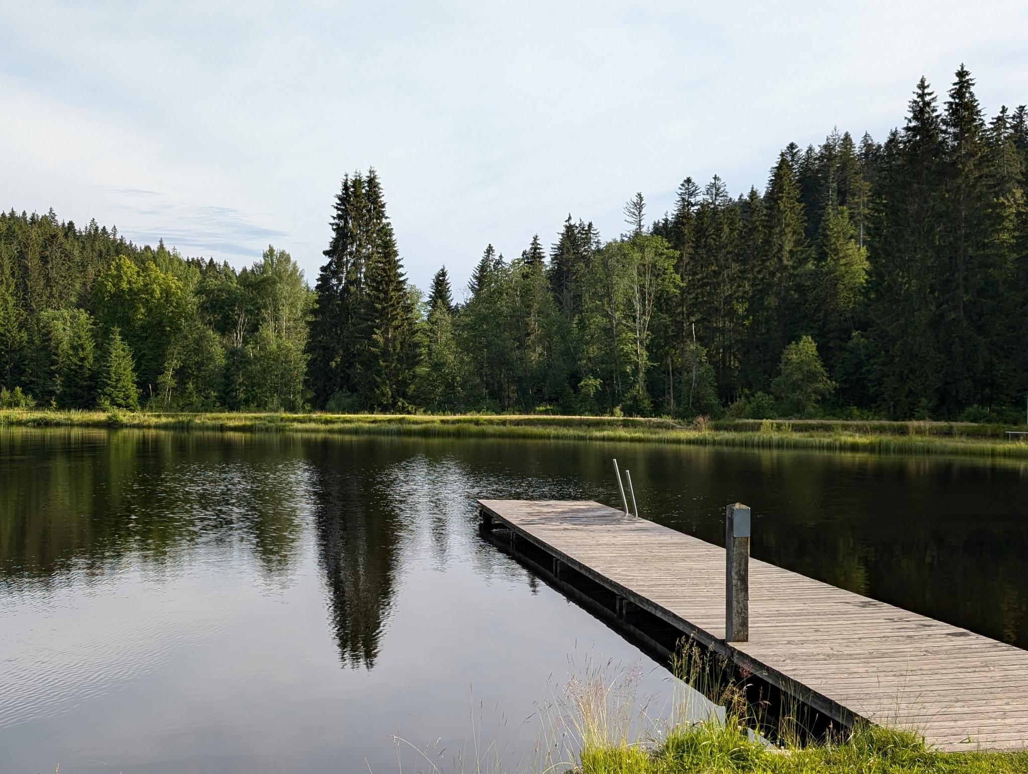Ferienwohnung am Almberg in Philippsreut
