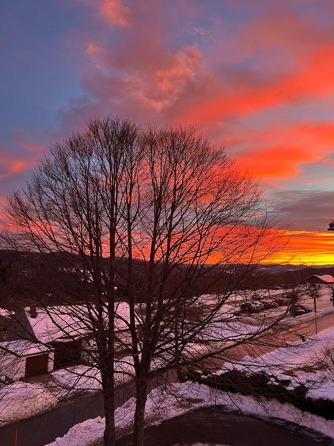 Ferienwohnung am Almberg in Philippsreut