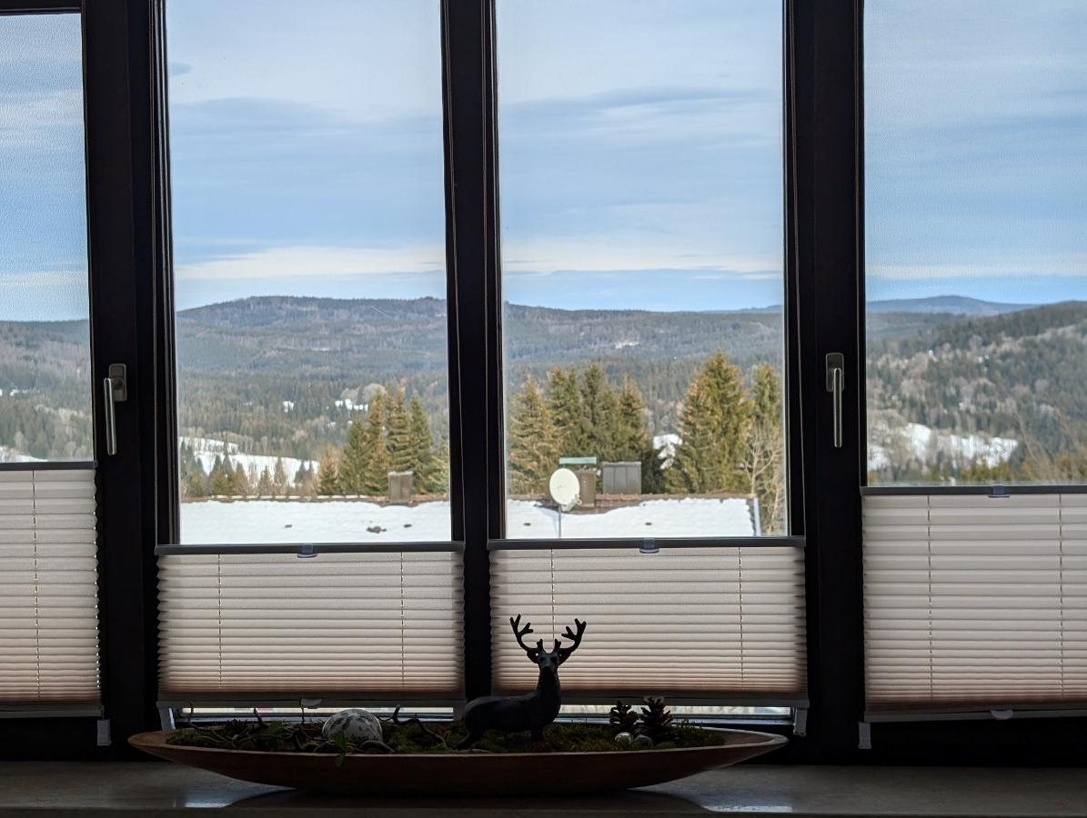 Ferienwohnung am Almberg in Philippsreut