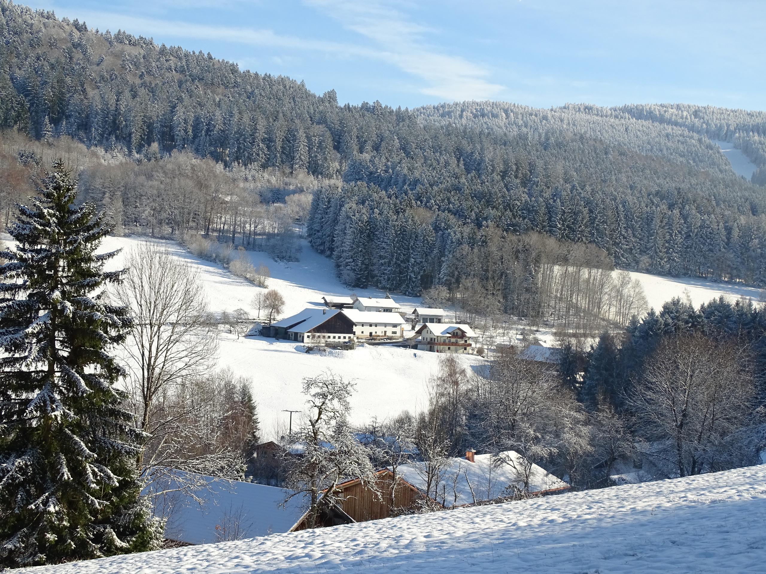 Ferienwohnung Lindenhof in Sankt Englmar
