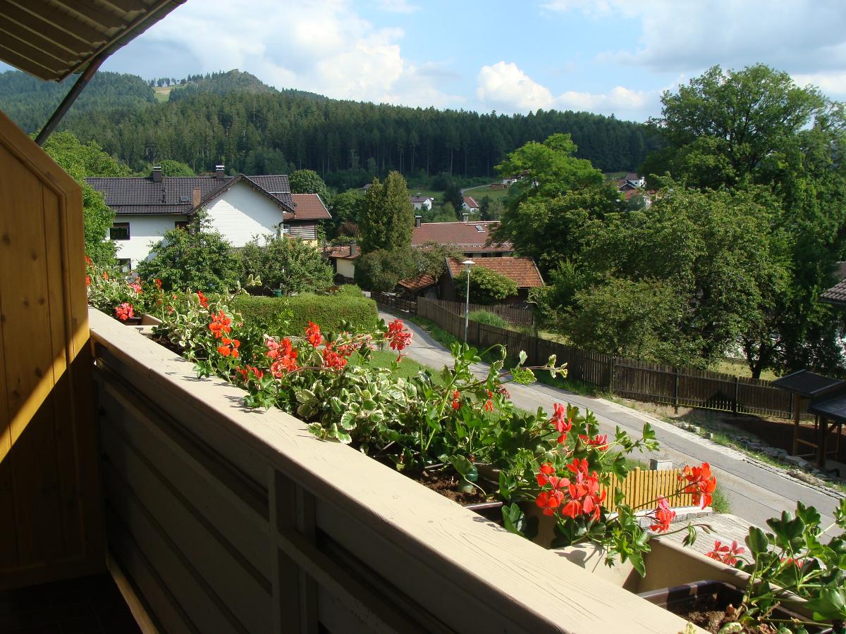 Drei Tannen in Bodenmais
