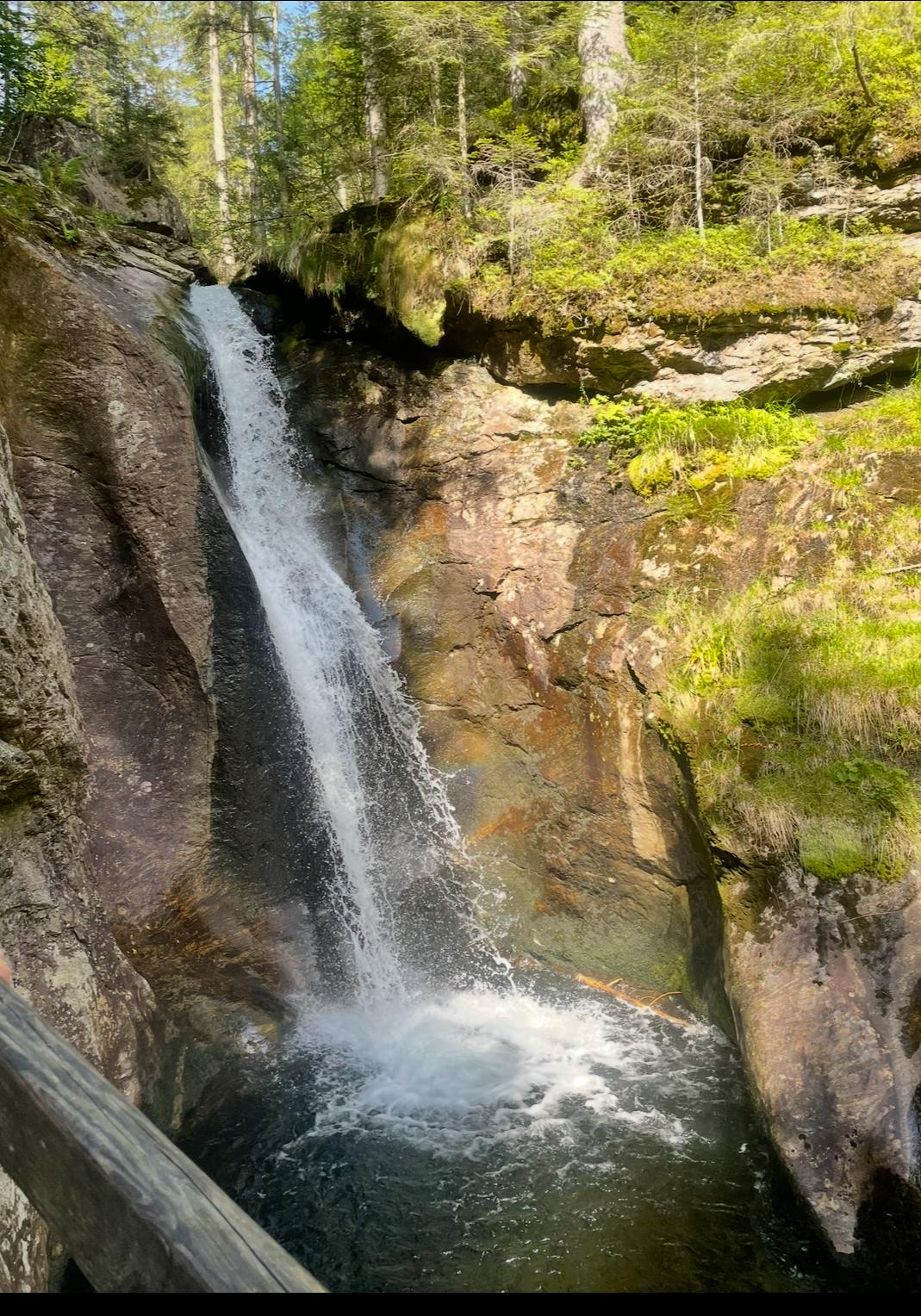 Landhaus Toni in Bodenmais