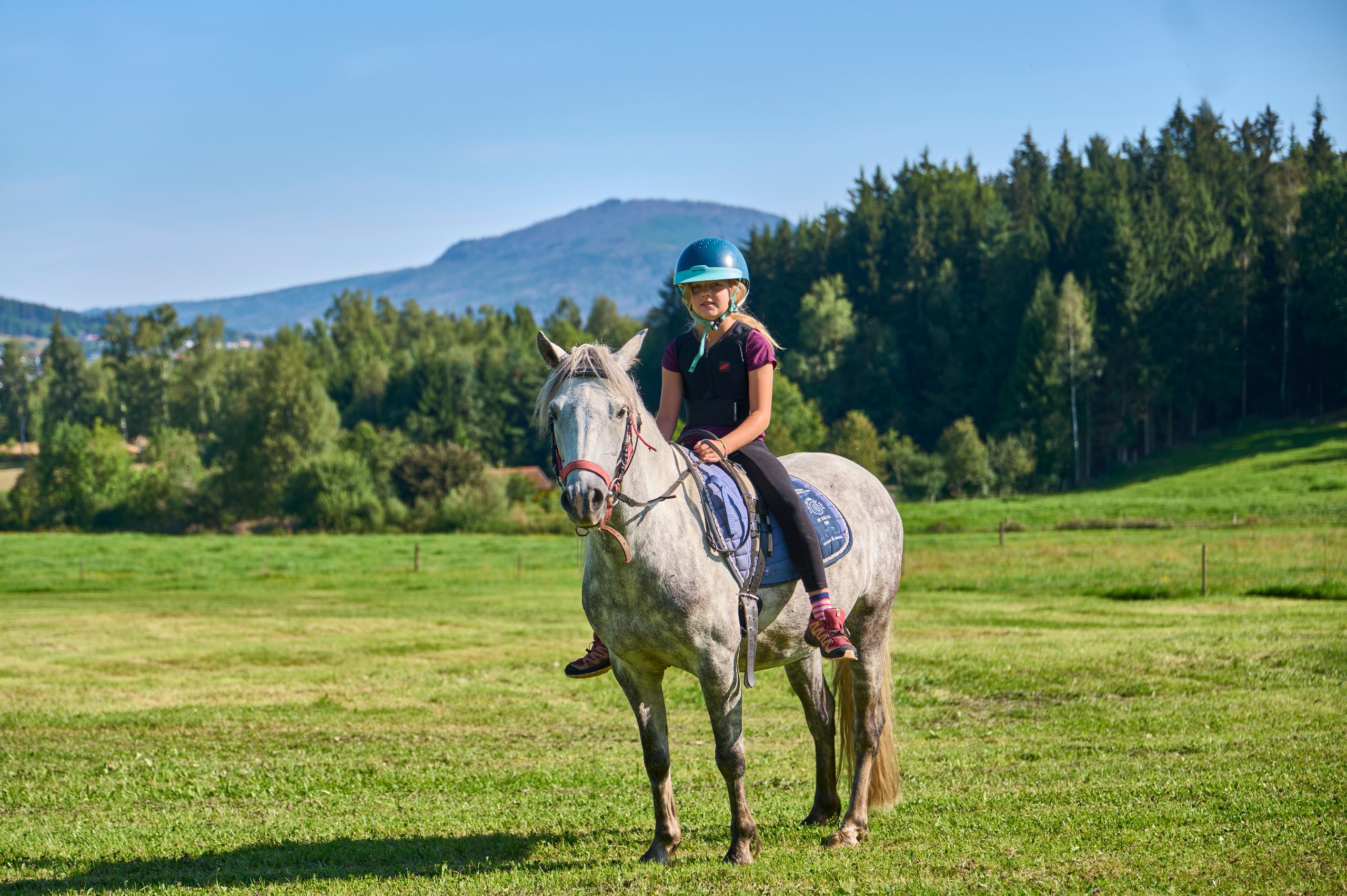 Bauernhof Bauer in Zwiesel