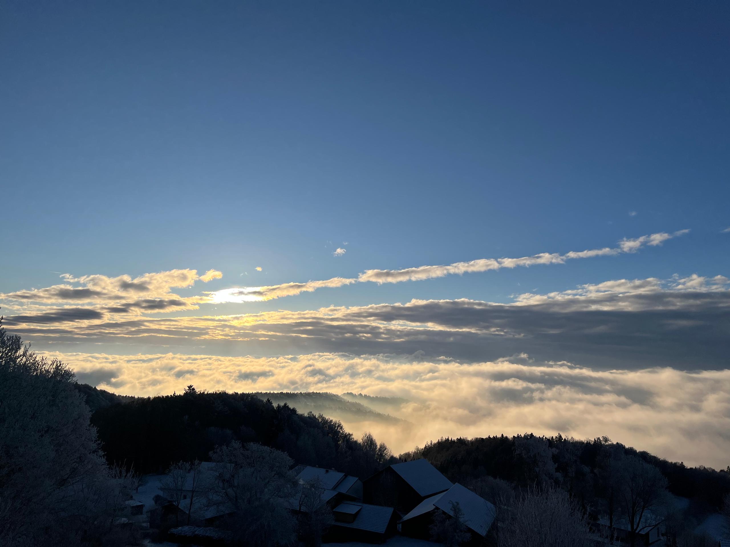 Sofias Alpenpanorama inkl. Aktivcard Bayerischer Wald in Freyung