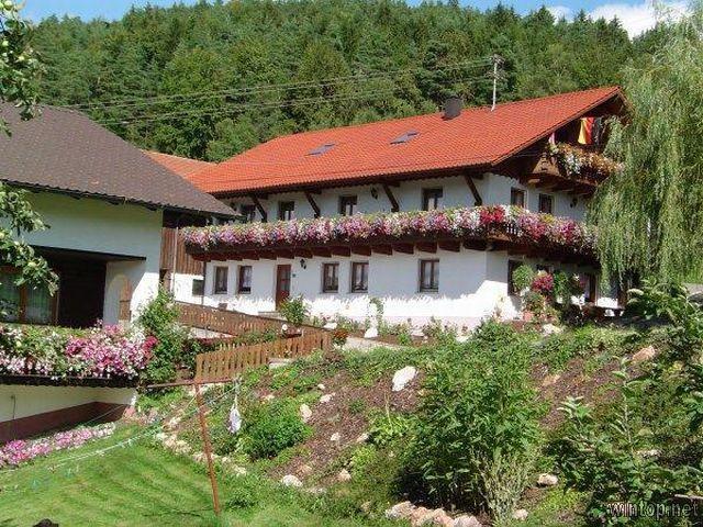 Ferienhaus Panoramablick  in Geiersthal