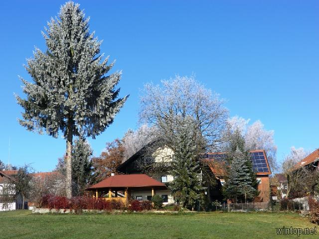 Gasthaus Pension 