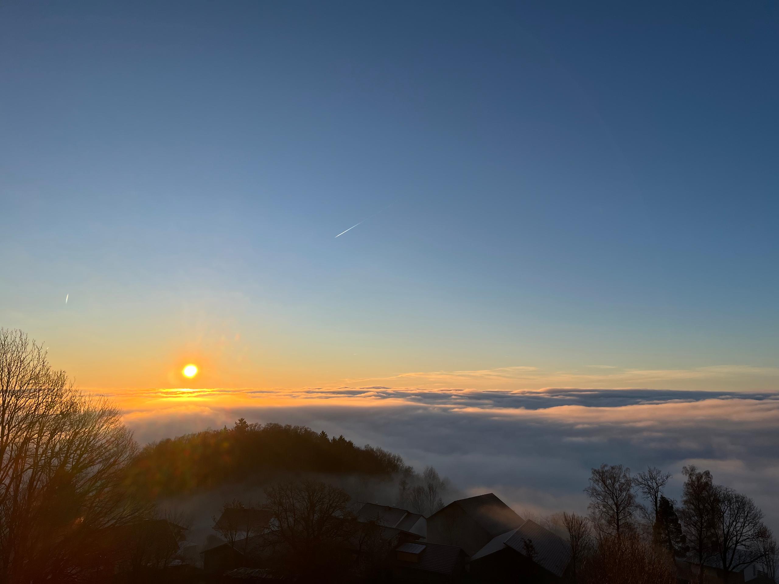 Sofias Alpenpanorama inkl. Aktivcard Bayerischer Wald in Freyung