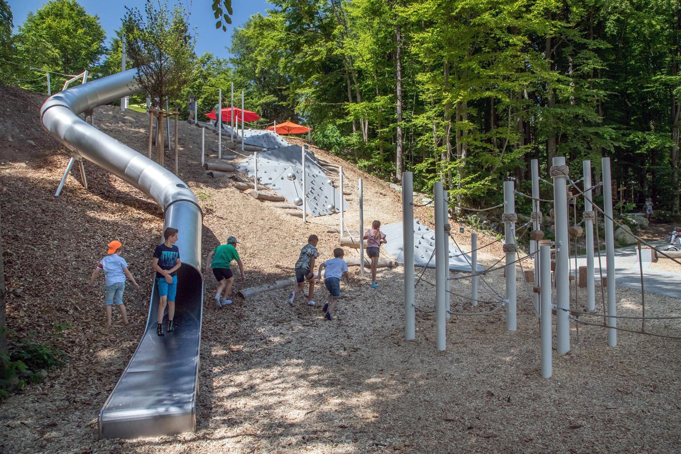 Sofias Alpenpanorama inkl. Aktivcard Bayerischer Wald in Freyung