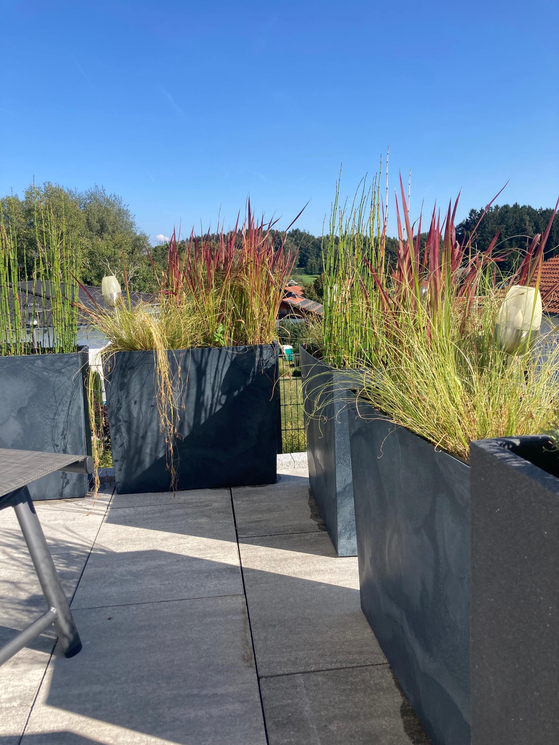 Ferienwohnungen Ebner in Bischofsmais