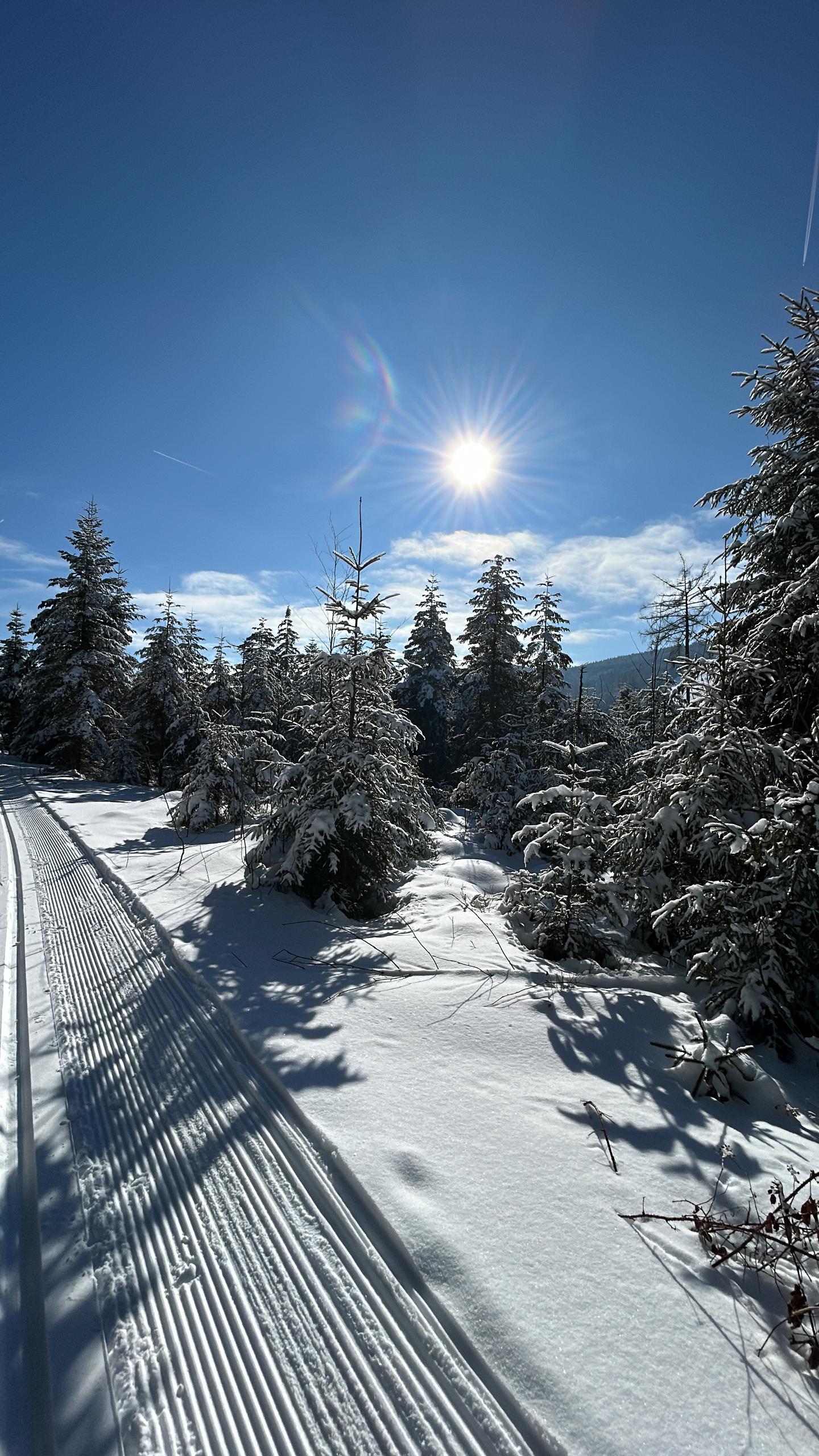 Ferienwohnungen Ebner in Bischofsmais