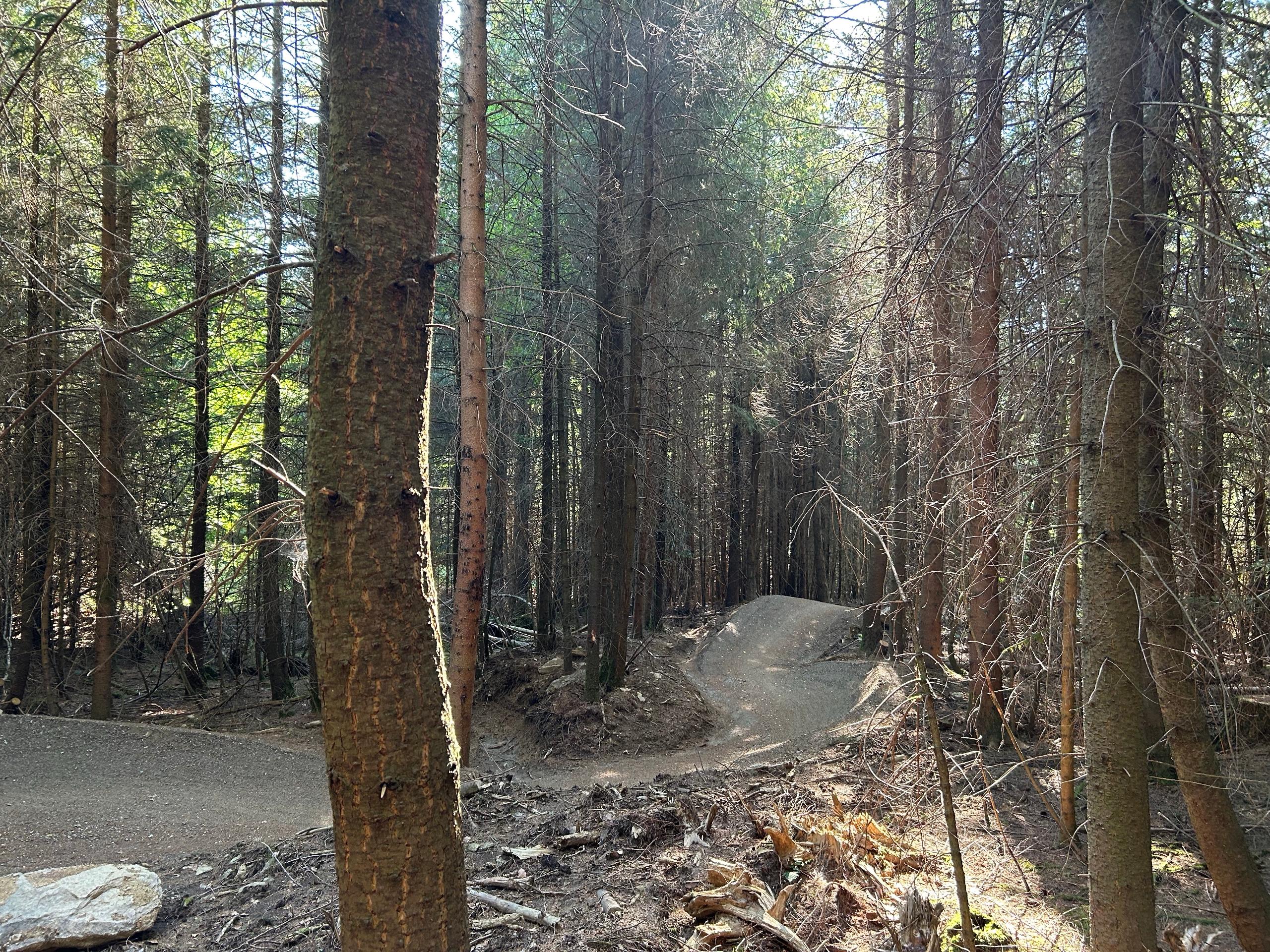 Ferienwohnungen Ebner in Bischofsmais