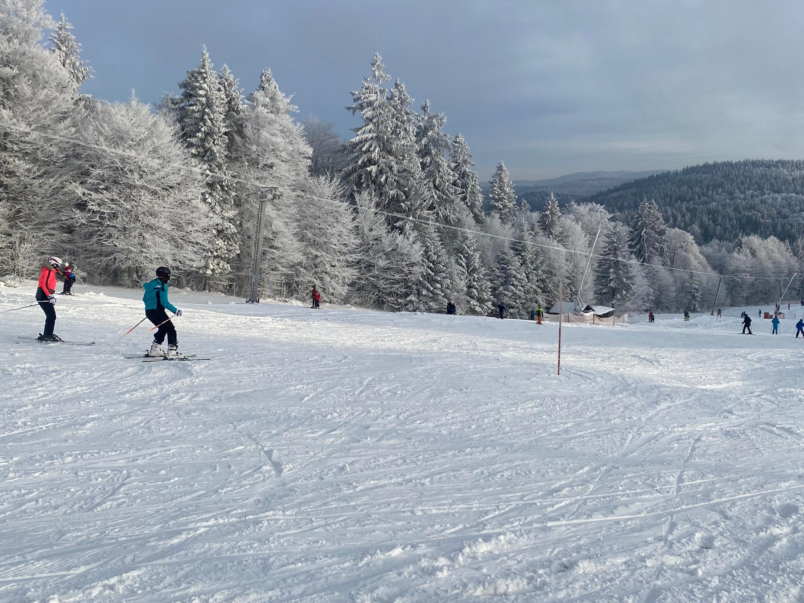 Sofias Alpenpanorama inkl. Aktivcard Bayerischer Wald in Freyung