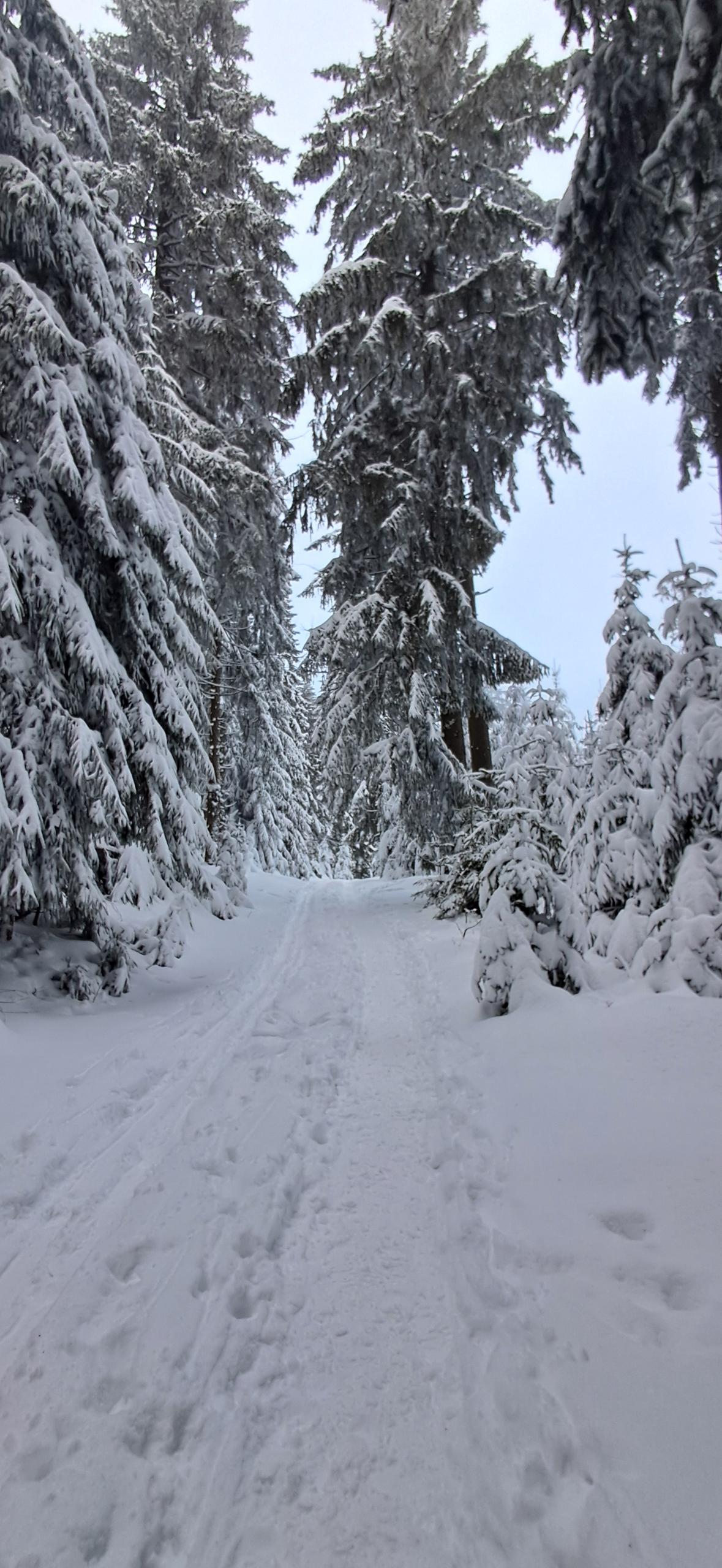 Ferienwohnung Mia in Sankt Englmar