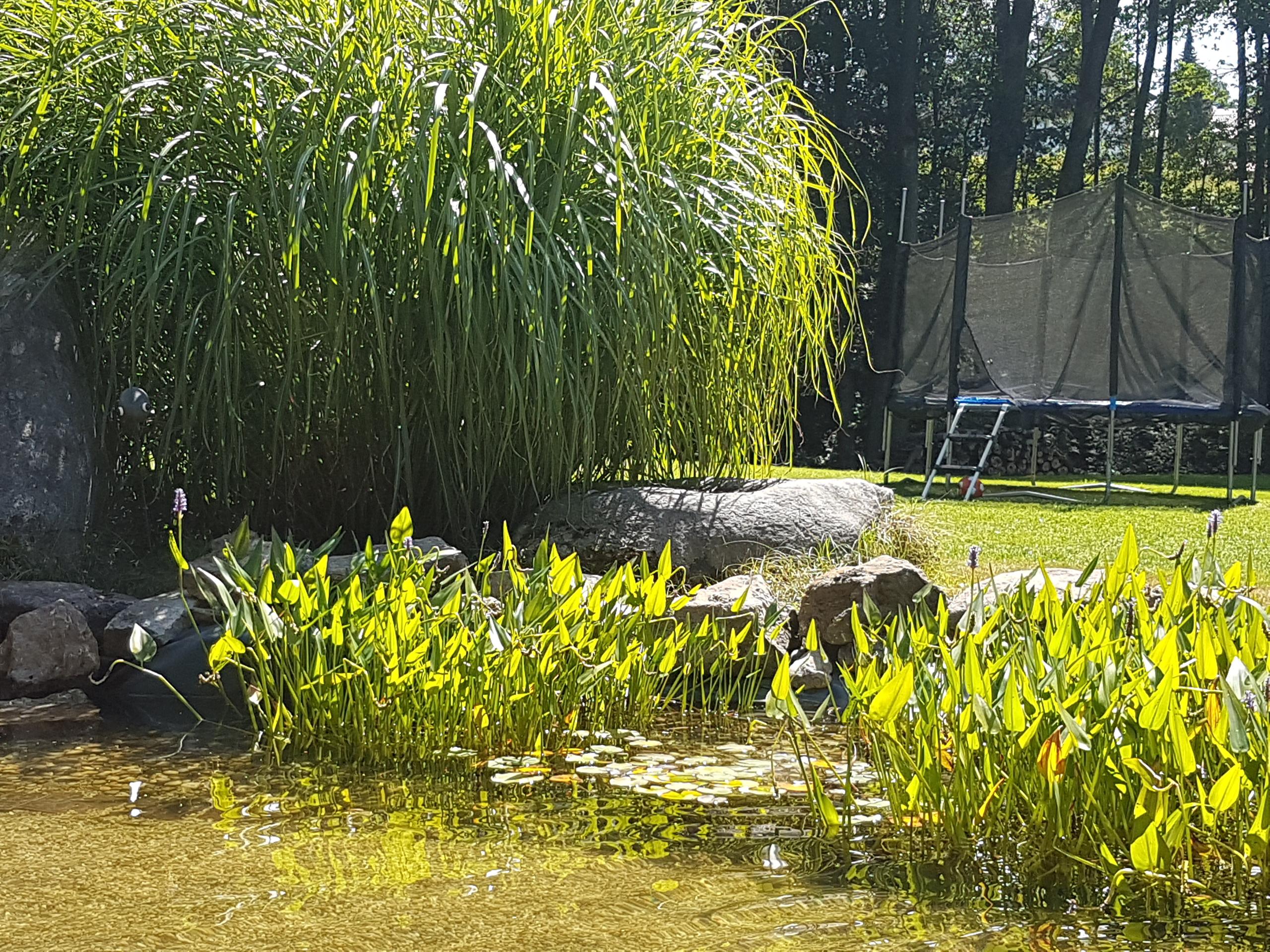 Ferienhof Gruber in Arnbruck