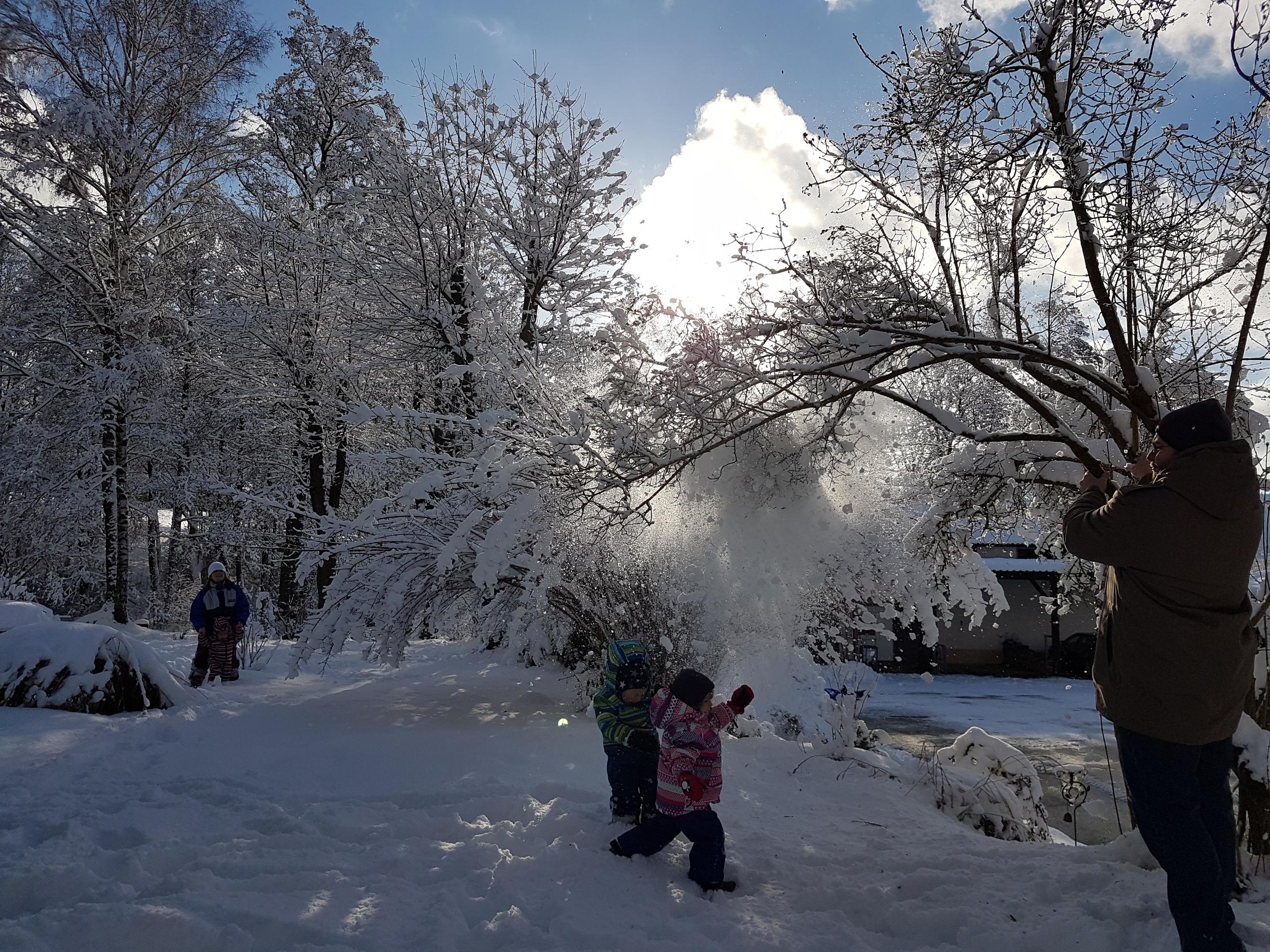 Ferienhof Gruber in Arnbruck