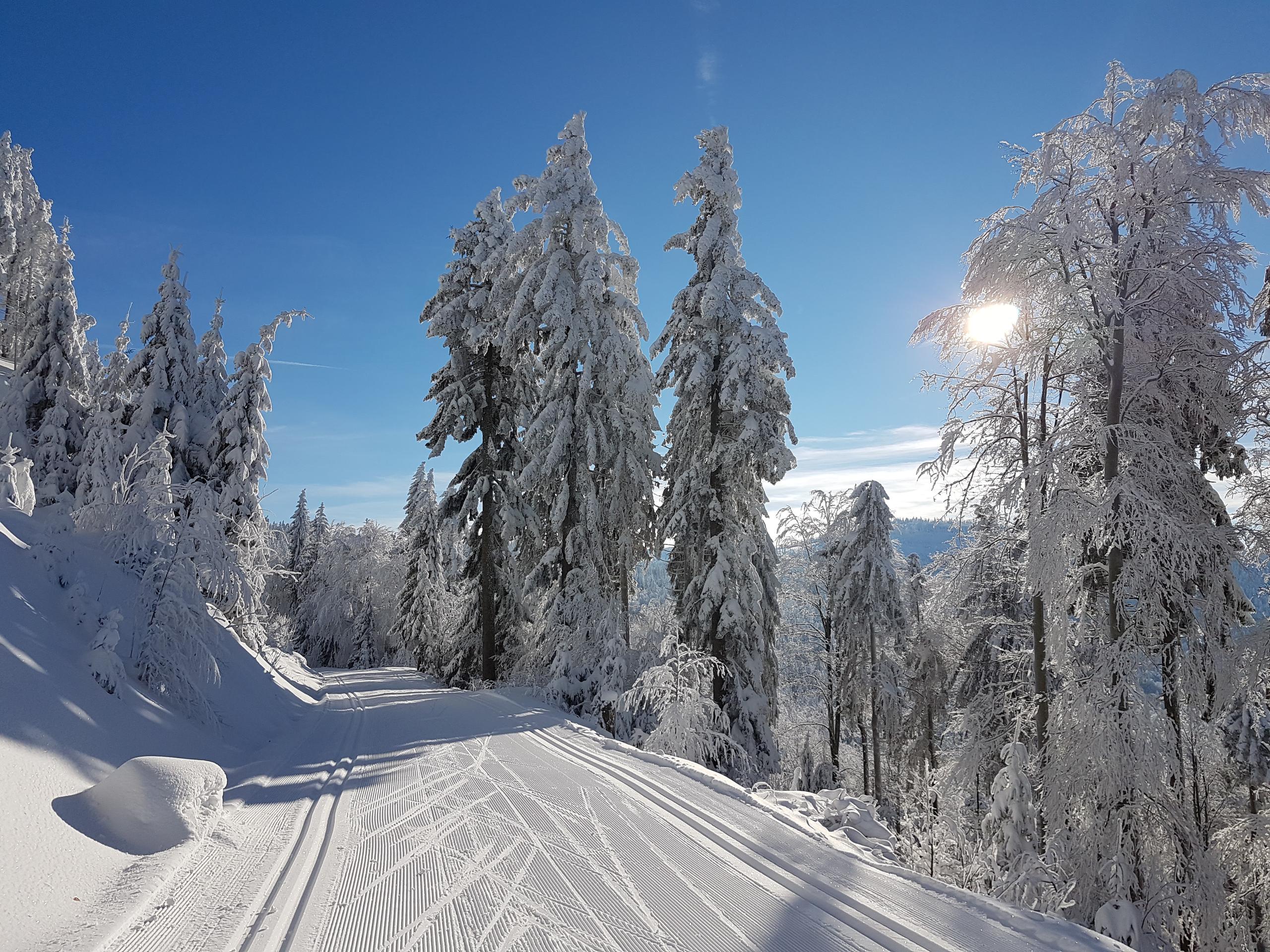 Ferienhof Gruber in Arnbruck