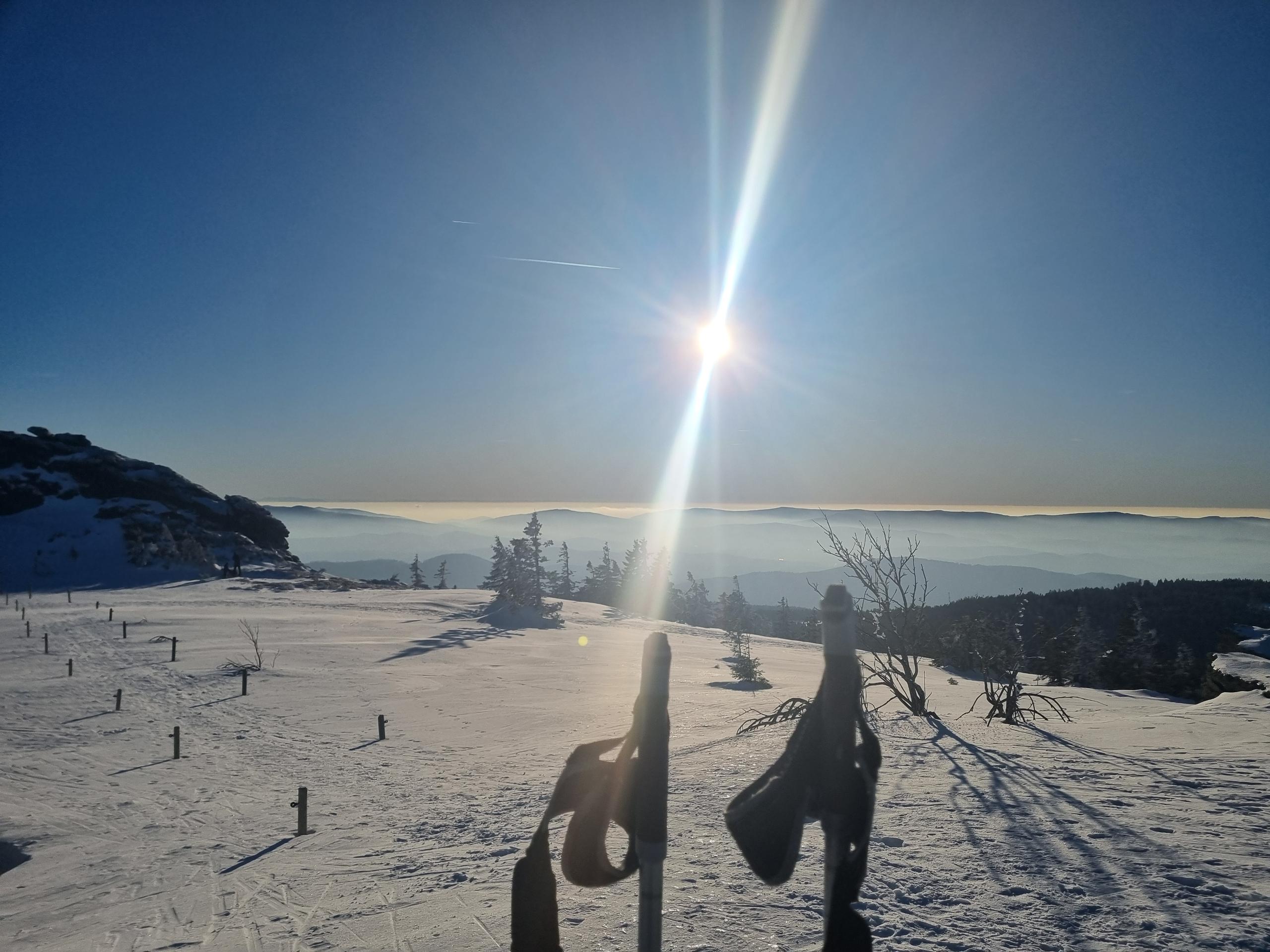 Ferienhof Gruber in Arnbruck