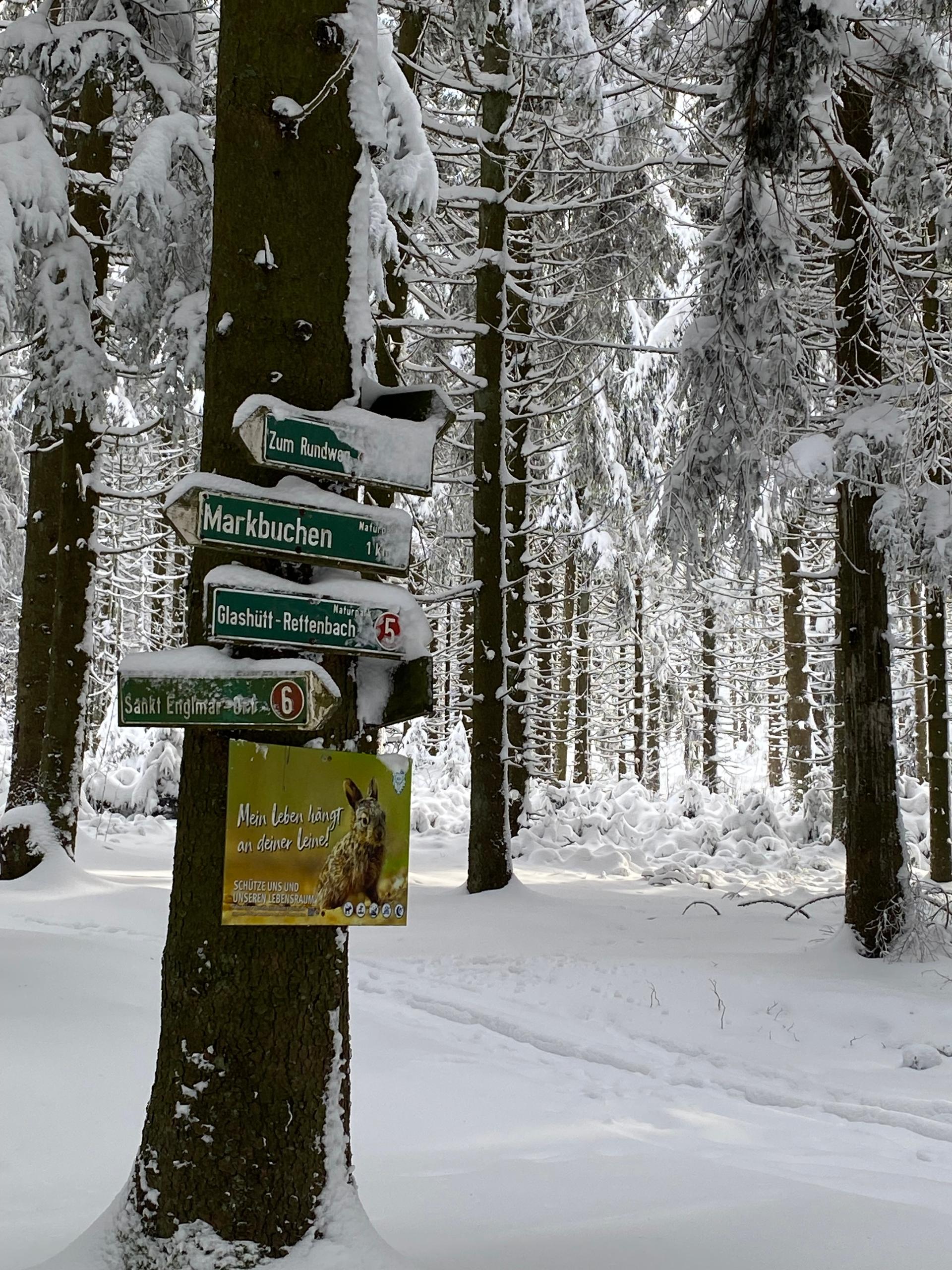 Apartment Edda Predigtstuhl Resort in Sankt Englmar