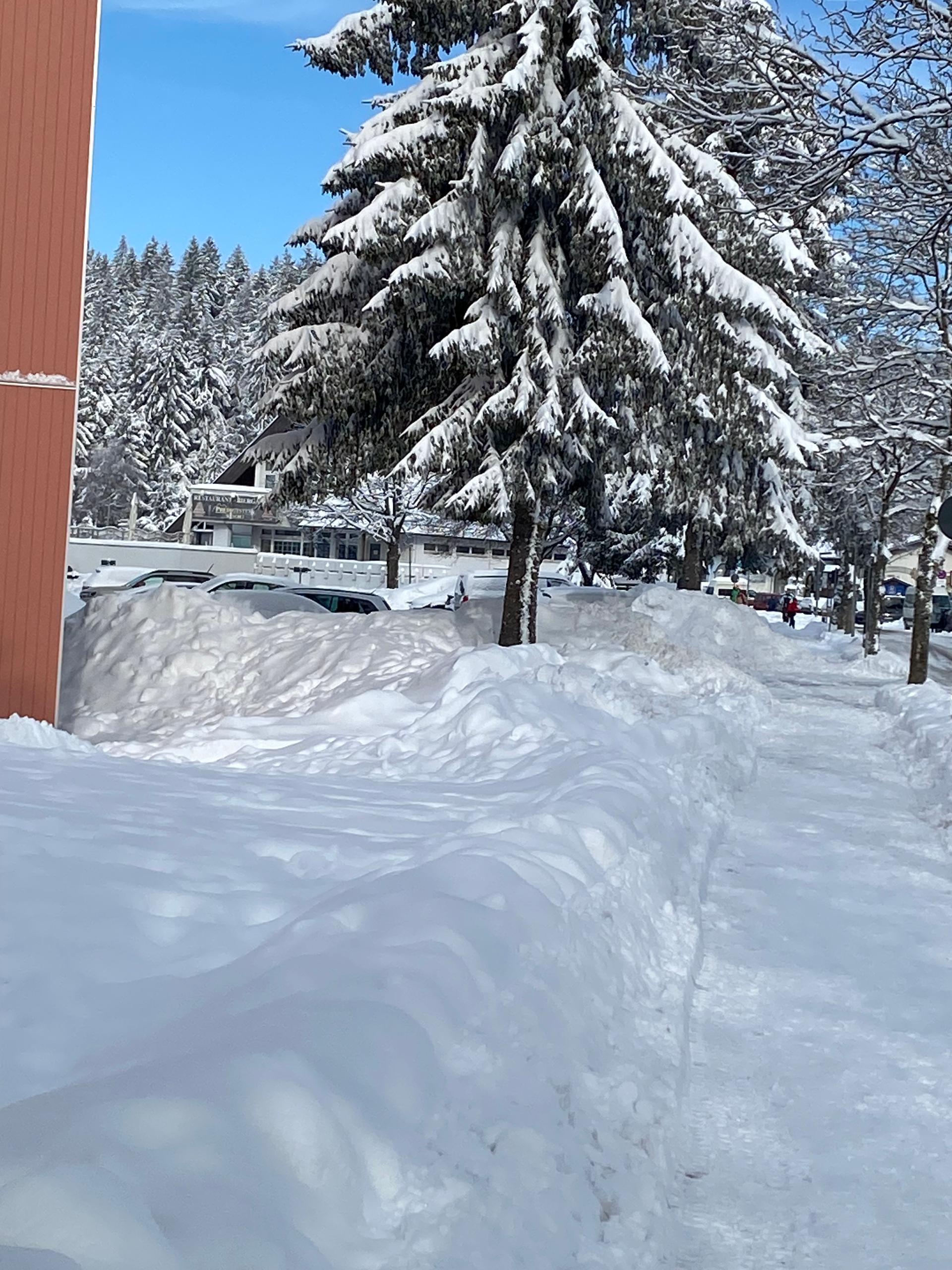 Apartment Edda Predigtstuhl Resort in Sankt Englmar