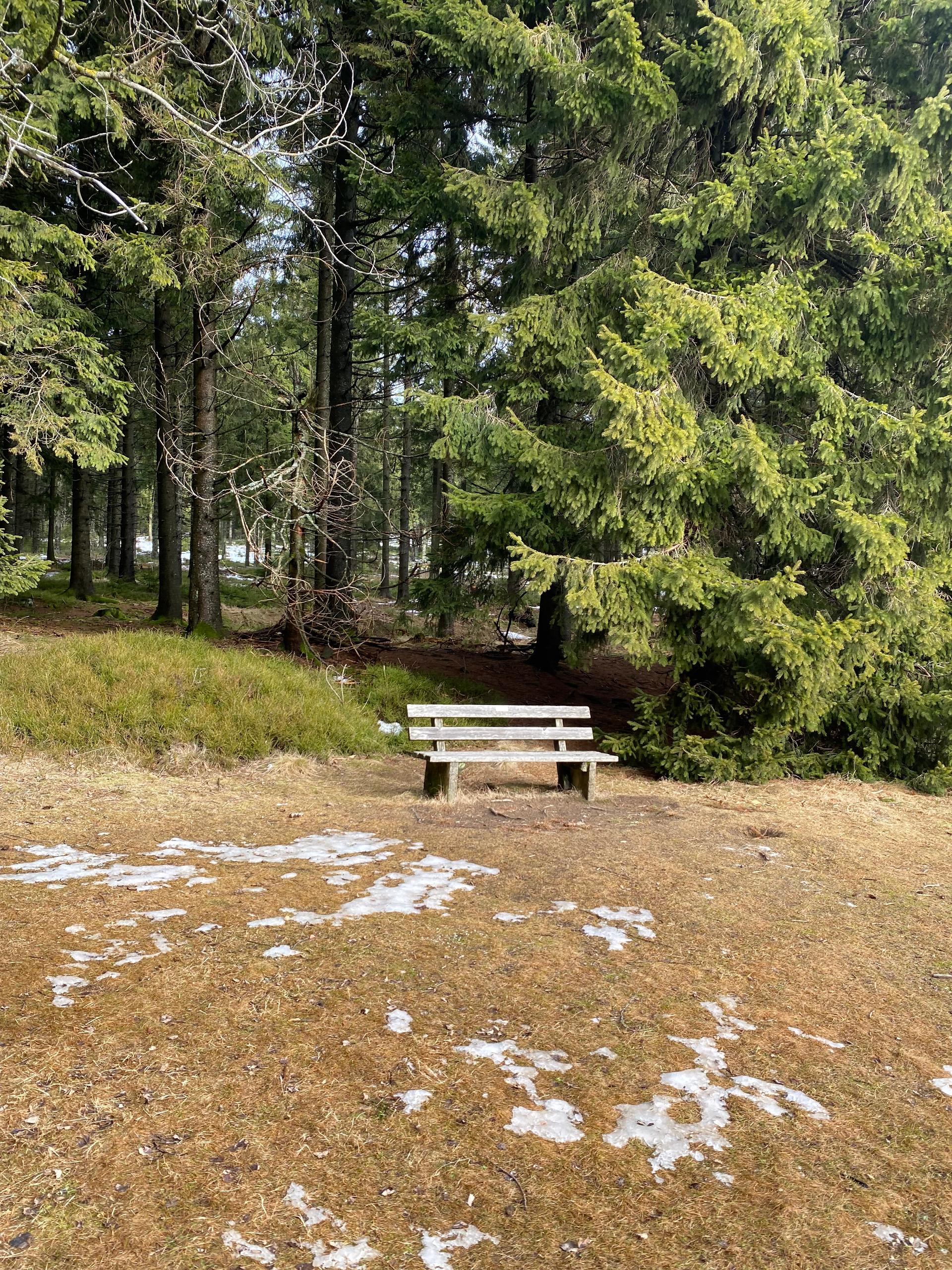 Apartment Edda Predigtstuhl Resort in Sankt Englmar