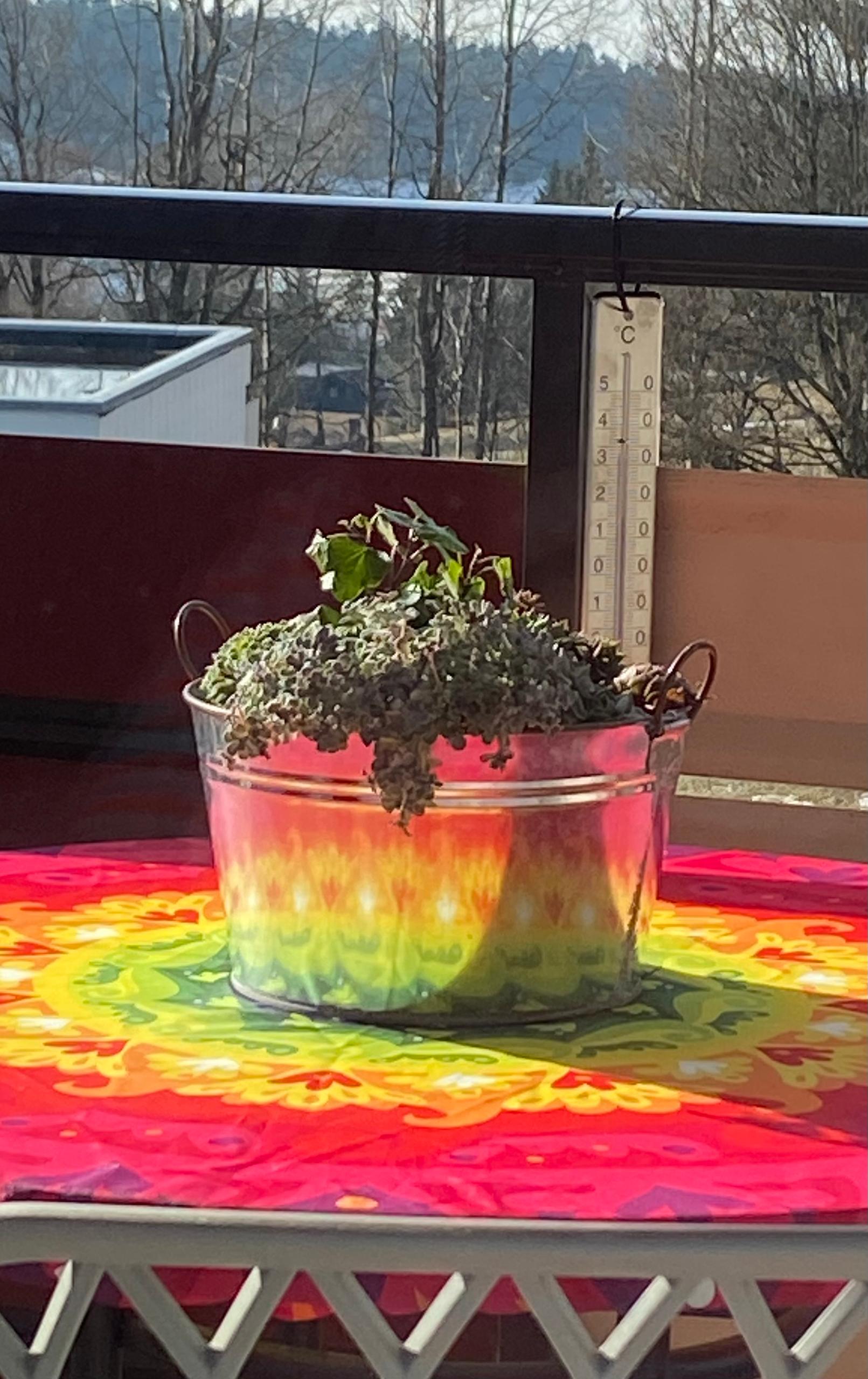 Apartment Edda Predigtstuhl Resort in Sankt Englmar