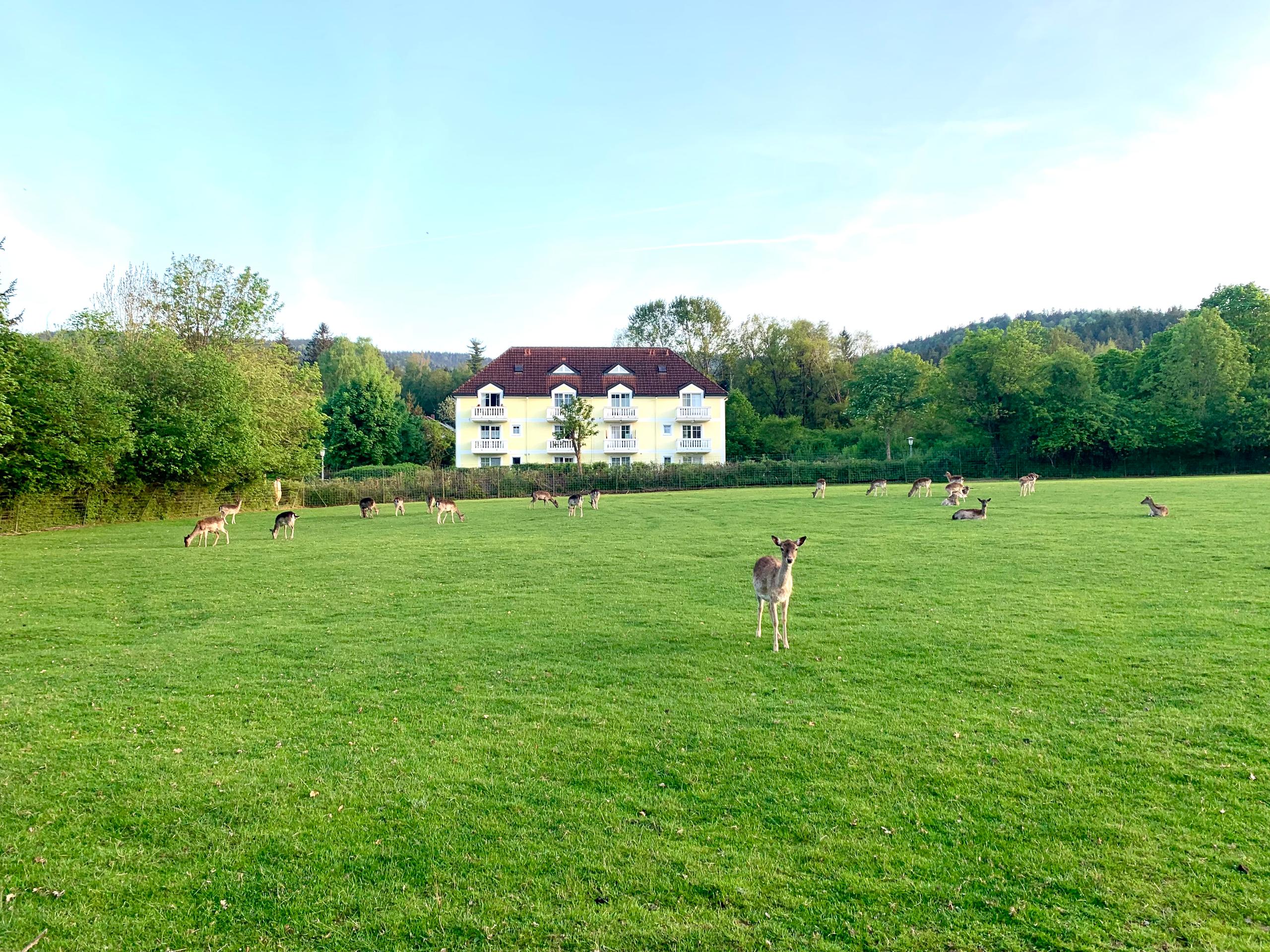 Lindners Hideaways Stays in Hohenwarth