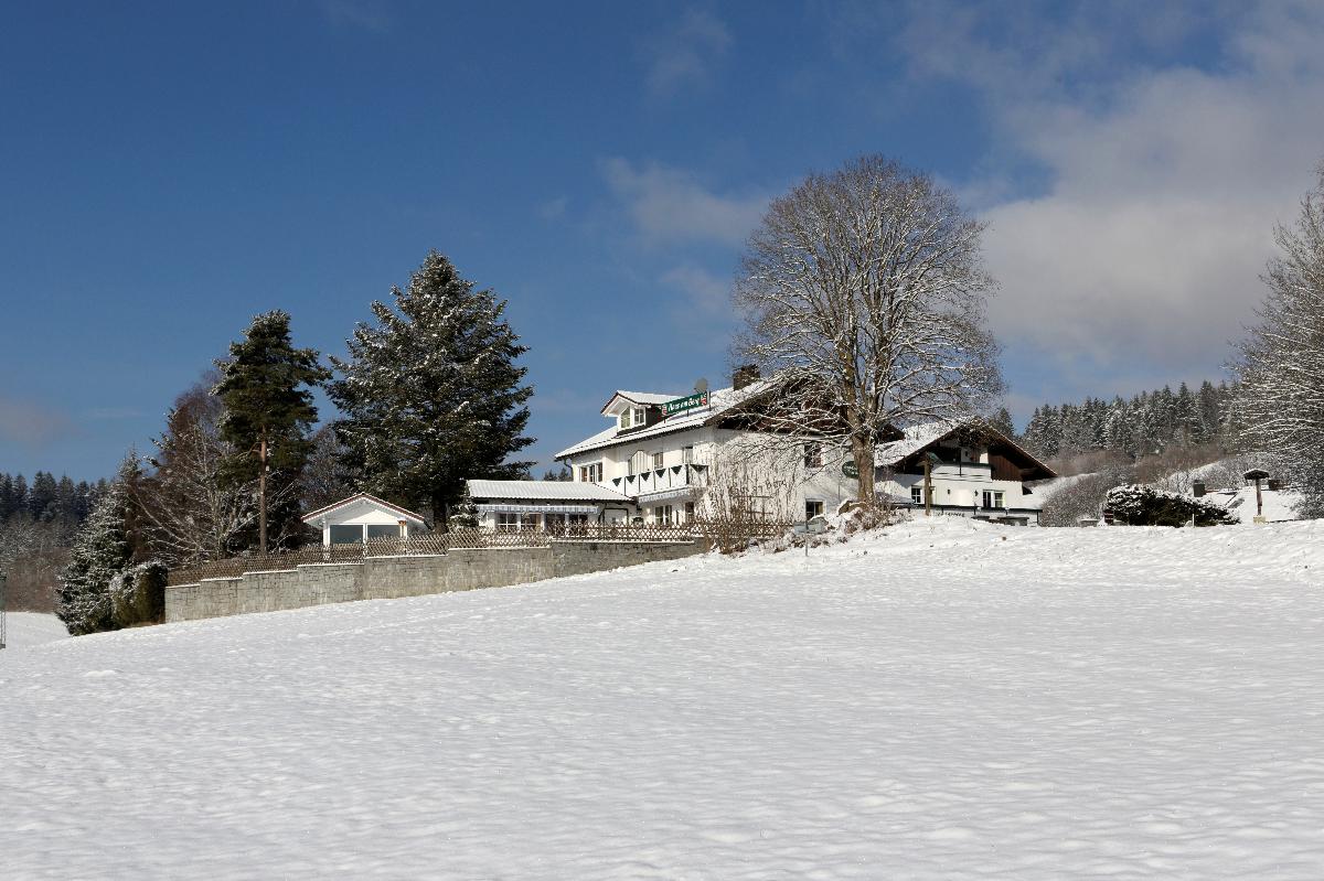 Haus am Berg in Rinchnach