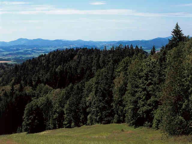 Wellness Hauser Hof in Waldkirchen