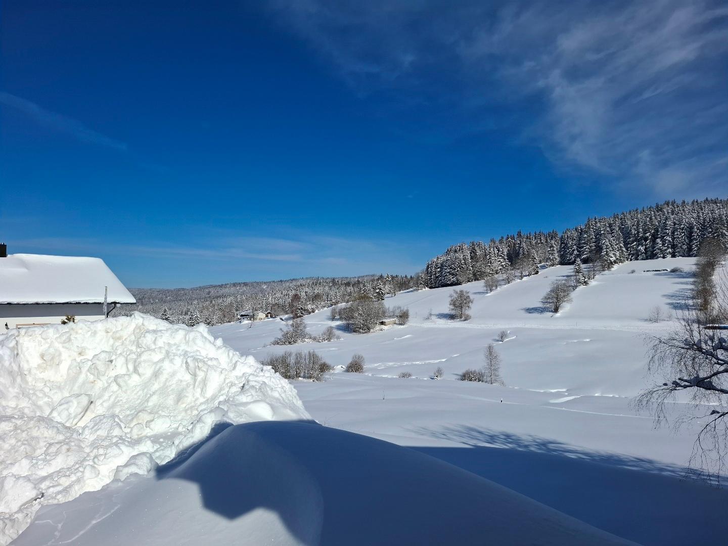 Ferienwohnung Anni in Philippsreut