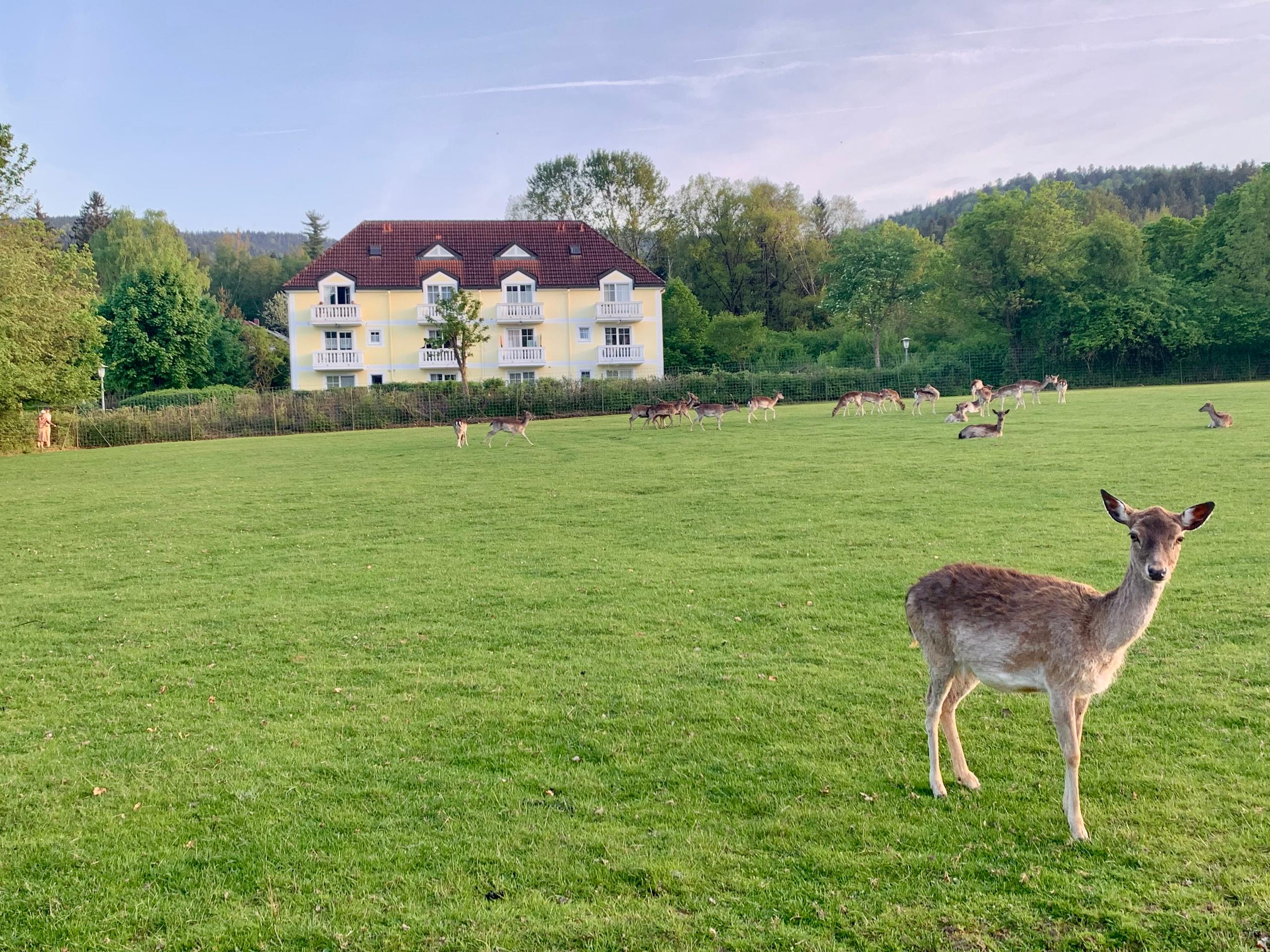 Lindners Hideaways Stays in Hohenwarth