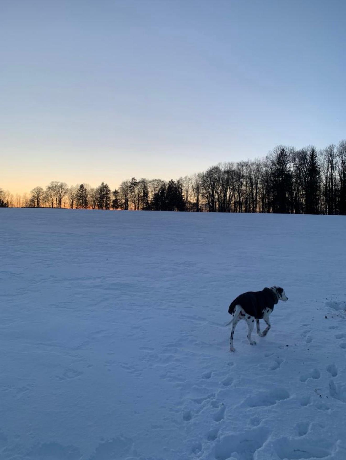 Lindners Hideaways Stays in Hohenwarth