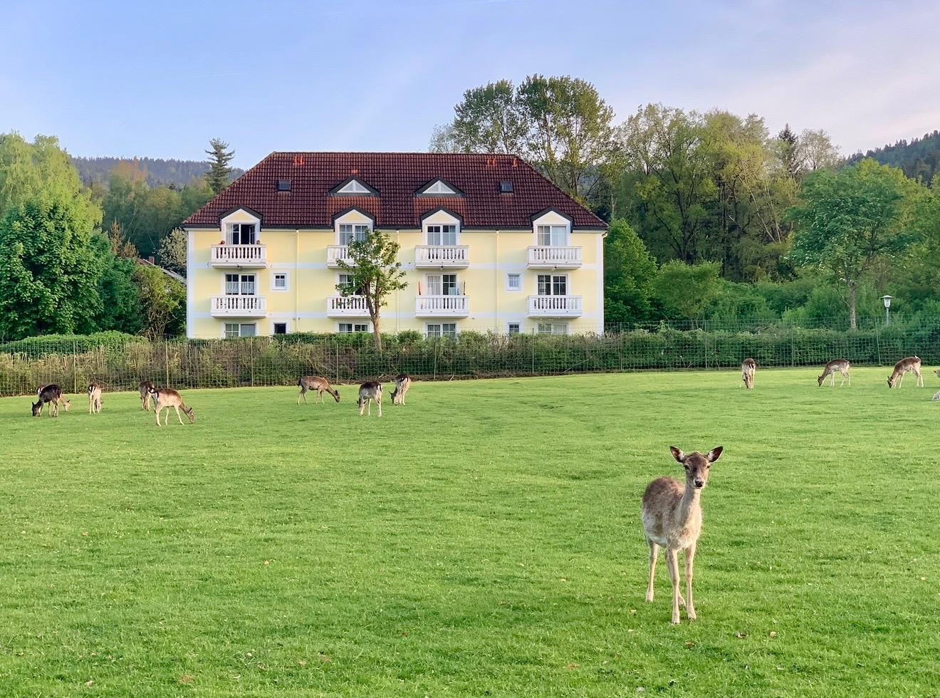 Lindners Hideaways Stays in Hohenwarth