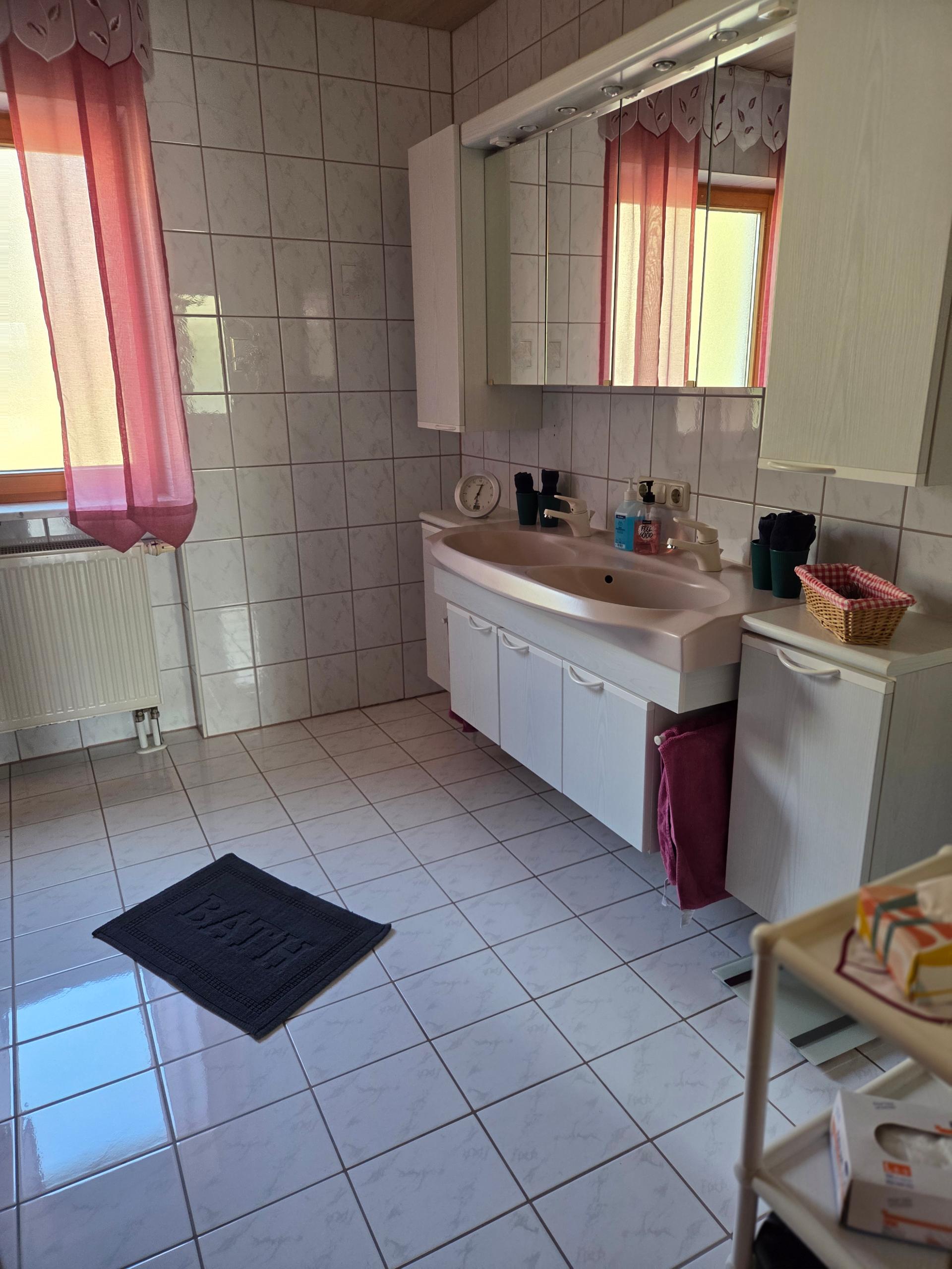 FW Theresienthal in Zwiesel