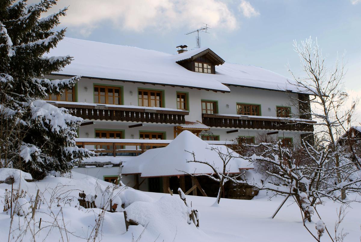 Pension - Ferienwohnung Landhaus Riedelstein in Drachselsried