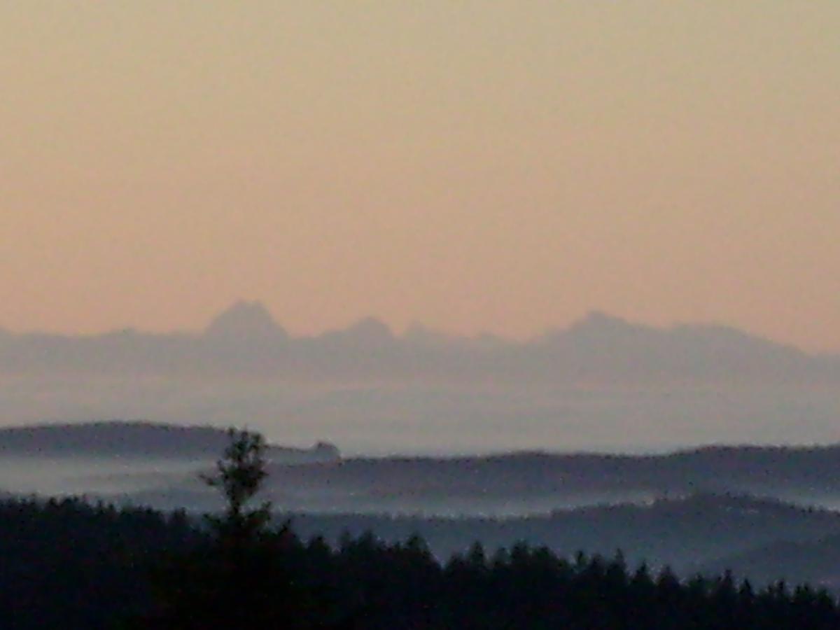 Eichenweide in Riedlhütte
