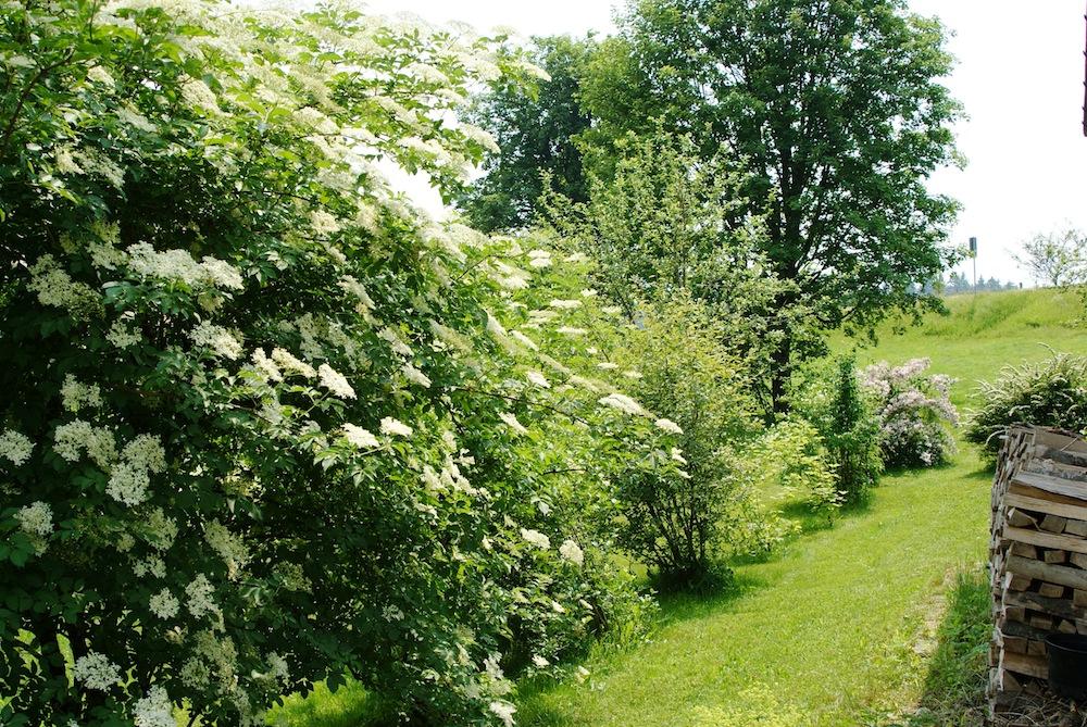 Privatpension Bergschütz in Sankt Englmar