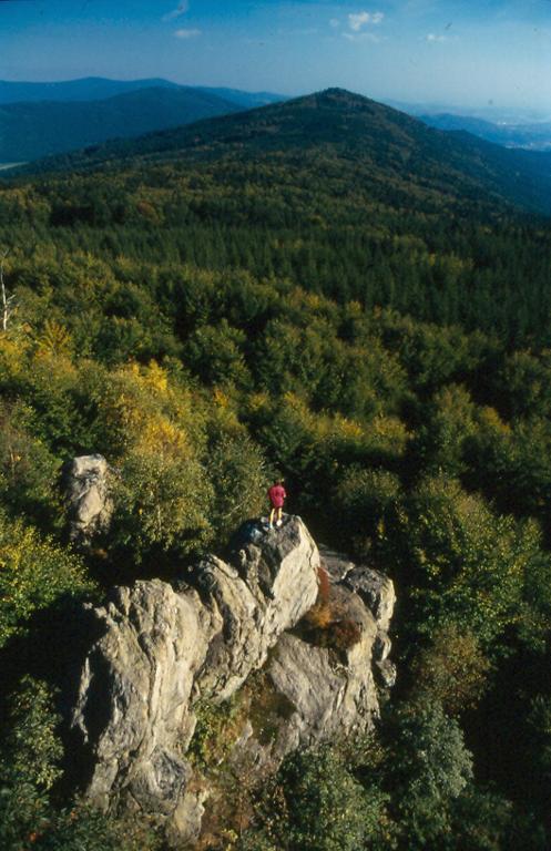 Rettenbacher Gästehaus in Sankt Englmar