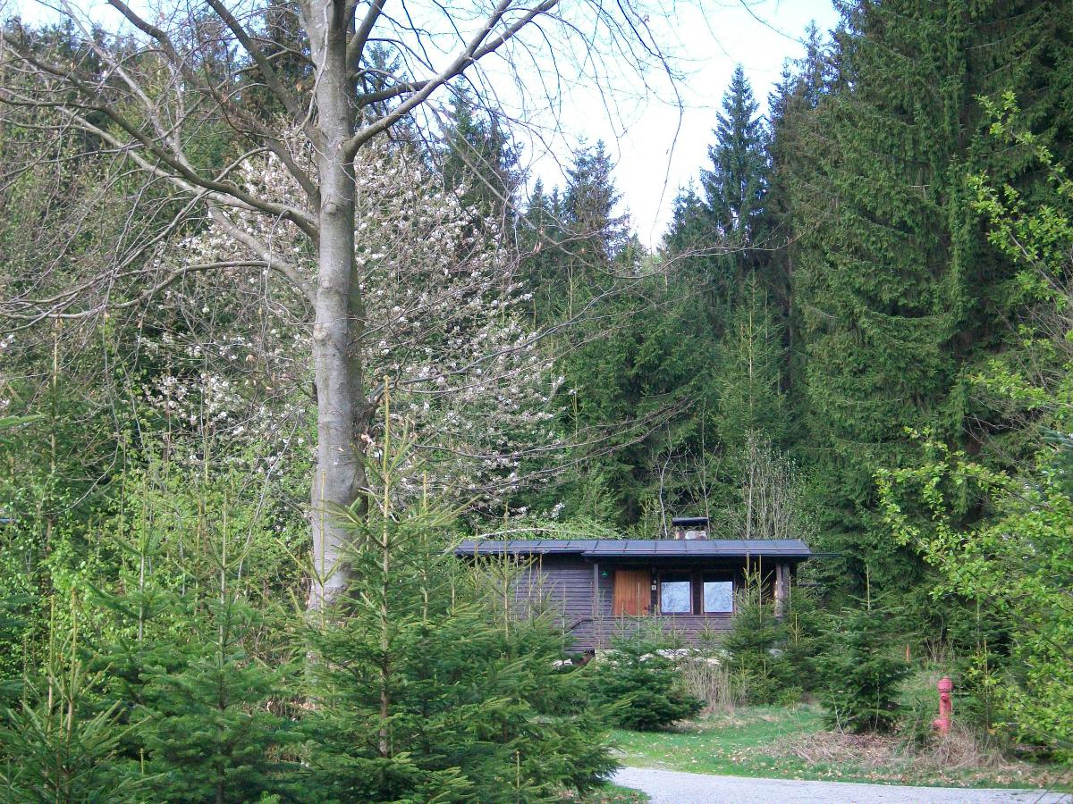 Holzhäuschen Plattenhöhe in Rinchnach