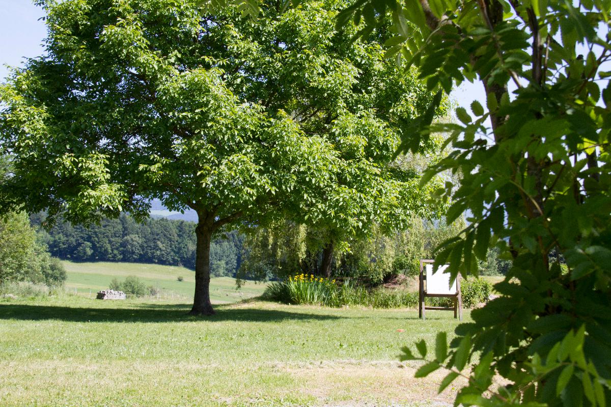 Gasthof zum Sonnenwald in Schöfweg
