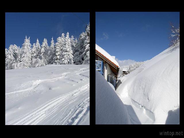 Appartement-Anlage Ferienland Sonnenwald in Schöfweg