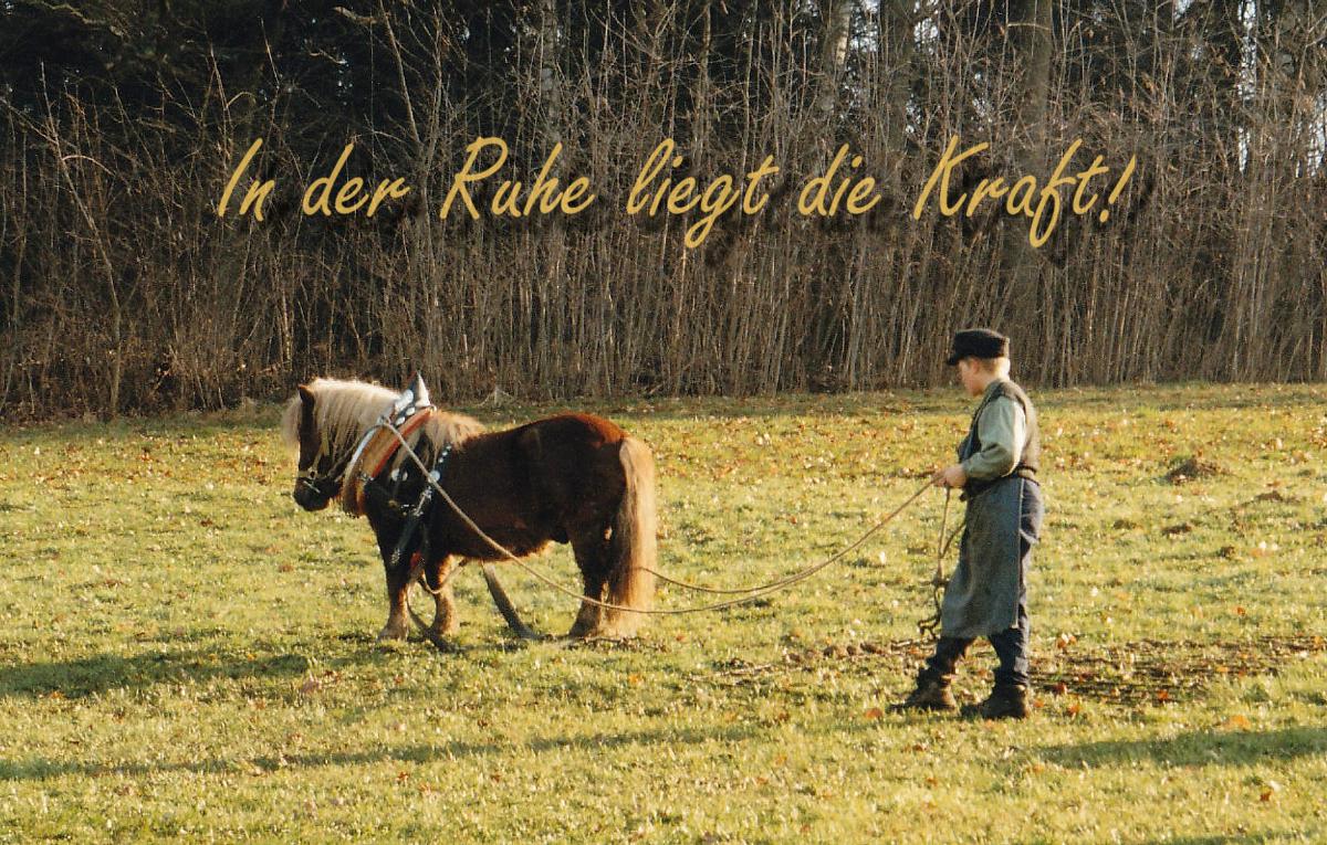 Ferienhof Kopp   in Drachselsried